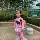 까꿍어린이집 | 유아신발 키즈 운동화 오즈키즈 까꿍냥이 슬립온 어린이집등원룩