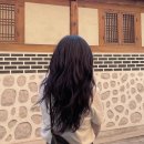 누스헤어(Noos hair)