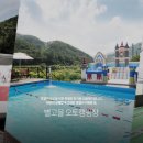VIP오토캠핑장 이미지