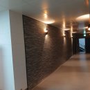 리온메디 이미지