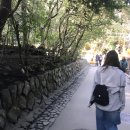 일본 여행 ..🍥🍧
