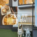 신전떡볶이 인하대점 | [인천 맛집] 인하대역 근처 맛집 ‘오월의 유부’ 에서 간단한 저녁 식사✨🍱