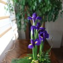 동양 꽃꽂이 이미지