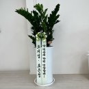 이화아뜰리에무용학원 네이버블로그