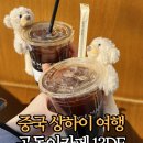 마르조 | 중국 상하이 여행 우캉루 곰돌이카페 13DE 마르조 후기