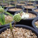 숙희농장 이미지