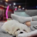 민성세차장 이미지