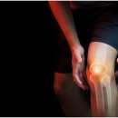 참좋은보조기 이미지