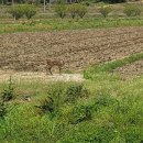 석우리마을회관 이미지