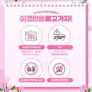 한민국제화학(주) | 인천SK석유화학 벚꽃동산 후기! 무료 주차 꿀팁! 대중교통, 먹거리, 푸드트럭