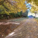 편백하우스 이미지