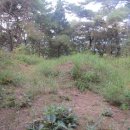 안동호민박 이미지