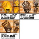 에이엔스포츠 이미지