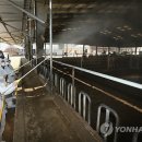 안성가축약품 이미지