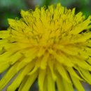 11530-03-03 이미지