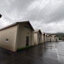 삼산경계 ~ 삼산하나로마트 | 2025 강촌 1박2일 여행(소보심, 닭갈비,로드스테이,하나로마트 남산, 삼계탕)