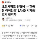 北장사정포 위협에 ...'한국영 아이언돔' LAMD 시제품 조기 전력화 이미지