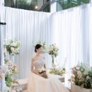모연스냅과 함께 했던 엔씨소프트 사내웨딩홀 본식 촬영 후기(내돈내산)
