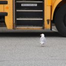 한성필하우스 3차 앞 이미지