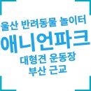 (주)애니언파크 | 울산 애견 놀이터 대형견 운동장 문화센터 애니언파크 방문 후기