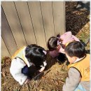 수kids어린이집 | 배곧동어린이집 시흥 배곧동 한라키즈어린이집 후기