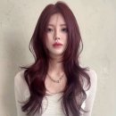 이상헤어 이미지