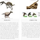 안면도쥬라기박물관 이미지