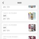 뚜니살롱 이미지