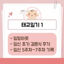 짱짱이네 | [태교일기 1] 결혼 3주전에 다가온 축복 짱짱이 (임밍아웃, 임신 초기 결혼식, 임신 5주차~7주차 기록)