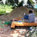 느티나무 그늘아래 평상 이미지