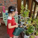 내친구어린이집 이미지