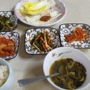 오아시스 민박2 이미지