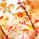 흐르는물 이미지