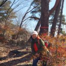 [번개후기]2/22*순창예향마실길 3구간 일부 ② 이미지