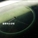 고양유리