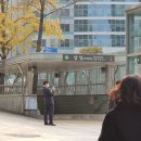 고수의운전면허 이미지