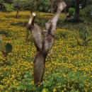 한림공원 이미지