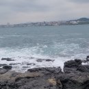 갯바위 | 제주 공항 근처 숨은 낚시 포인트 - 가문동 갯바위 긴꼬리벵에돔 낚시 후기 🎣