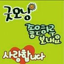 비엔비 이미지