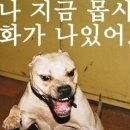 화남 이미지