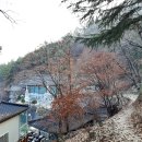 한배미길 이미지