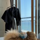 사천바다를품은펜션 | 강릉 애견동반 숙소 강릉 사천바다를품은펜션 301호