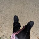 꼬까신 | <一日一推> ep4. 온러닝 x paf 가벼운 꼬까신 '러닝화' (실착후기)