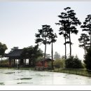 화랑유원지 이미지