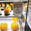울산 구영 맛집 랑콩뜨레 17대 제과명장 이석원 망고케이크