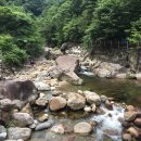 쌍계보건진료소 네이버블로그
