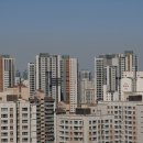 강서구-48 이미지