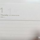 데일리풀 이미지