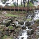 봉수산자연휴양림 이미지