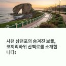 사천 삼천포 코끼리바위 산책로 후기와 위치, 꼭 가봐야 할 이유
